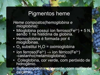 Pigmentos heme Heme compostos(hemoglobina e mioglobina) : Mioglobina possui íon ferroso(Fe 2+ ) + 5 N, sendo 1 na histidina da globina. Hemoglobina é formada por 4 mioglobinas. O 2  substitui H 2 O = oximioglobina íon ferroso(Fe 2+ )    íon férrico(Fe 3+ ) -castanho(metamioglobina). Coleglobina, cor verde, com peróxido de hidrogênio. Sulfomioglobina, cor verde, com sulfito de oxigênio. Desnaturação da globina    cor marrom 
