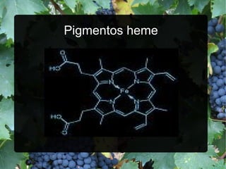 Pigmentos heme 