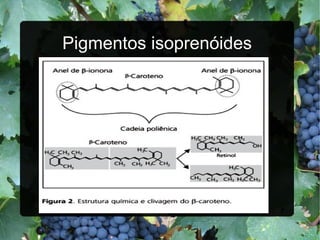 Pigmentos isoprenóides 