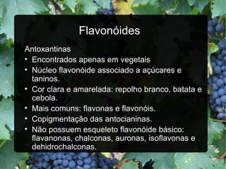 Flavonóides Antoxantinas Encontrados apenas em vegetais Núcleo flavonóide associado a açúcares e taninos. Cor clara e amarelada: repolho branco, batata e cebola. Mais comuns: flavonas e flavonóis. Copigmentação das antocianinas. Não possuem esqueleto flavonóide básico: flavanonas, chalconas, auronas, isoflavonas e dehidrochalconas. 