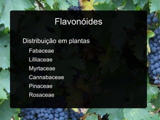 Flavonóides Distribuição em plantas Fabaceae Lilliaceae Myrtaceae Cannabaceae Pinaceae Rosaceae 