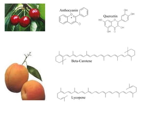 Anthocyanin Quercetin Beta-Carotene Lycopene 