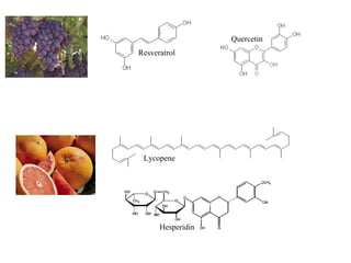 Resveratrol Quercetin Lycopene Hesperidin 