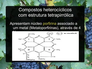 Compostos heterocíclicos  com estrutura tetrapirrólica Apresentam núcleo  porfirina  associado a um metal (Metaloporfirinas), através de 4 N. 