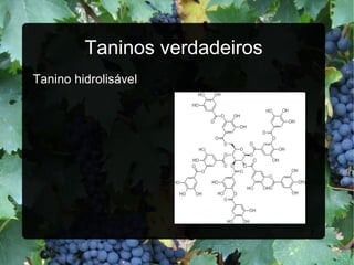 Taninos verdadeiros Tanino hidrolisável 