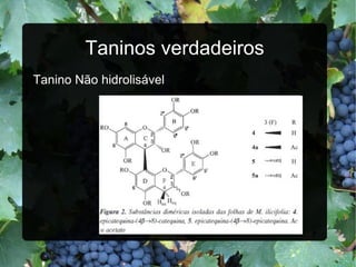 Taninos verdadeiros Tanino Não hidrolisável 