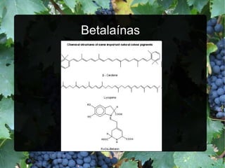Betalaínas 