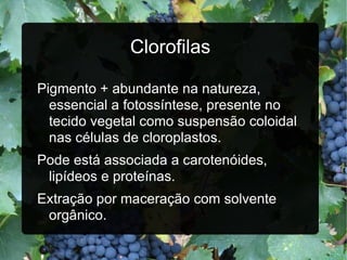 Clorofilas Pigmento + abundante na natureza, essencial a fotossíntese, presente no tecido vegetal como suspensão coloidal nas células de cloroplastos. Pode está associada a carotenóides, lipídeos e proteínas. Extração por maceração com solvente orgânico. 