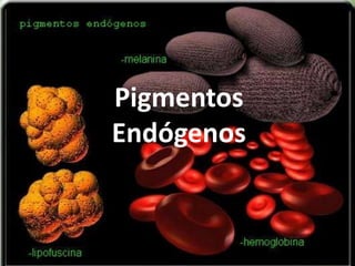 Pigmentos
Endógenos
 