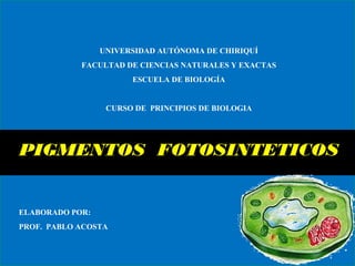 UNIVERSIDAD AUTÓNOMA DE CHIRIQUÍ
FACULTAD DE CIENCIAS NATURALES Y EXACTAS
ESCUELA DE BIOLOGÍA
CURSO DE PRINCIPIOS DE BIOLOGIA
PIGMENTOS FOTOSINTETICOS
ELABORADO POR:
PROF. PABLO ACOSTA
 