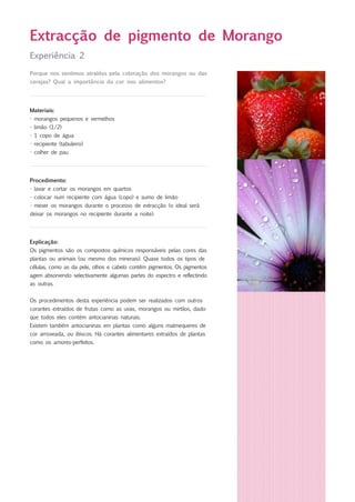 Experiência 2
Porque nos sentimos atraídos pela coloração dos morangos ou das
cerejas? Qual a importância da cor nos alimentos?
Materiais:
- morangos pequenos e vermelhos
- limão (1/2)
- 1 copo de água
- recipiente (tabuleiro)
- colher de pau
Extracção de pigmento de Morango
Procedimento:
- lavar e cortar os morangos em quartos
- colocar num recipiente com água (copo) e sumo de limão
- mexer os morangos durante o processo de extracção (o ideal será
deixar os morangos no recipiente durante a noite).
Explicação:
Os pigmentos são os compostos químicos responsáveis pelas cores das
plantas ou animais (ou mesmo dos minerais). Quase todos os tipos de
células, como as da pele, olhos e cabelo contêm pigmentos. Os pigmentos
agem absorvendo selectivamente algumas partes do espectro e reflectindo
as outras.
Os procedimentos desta experiência podem ser realizados com outros
corantes extraídos de frutas como as uvas, morangos ou mirtilos, dado
que todos eles contém antocianinas naturais.
Existem também antocianinas em plantas como alguns malmequeres de
cor arroxeada, ou ibiscos. Há corantes alimentares extraídos de plantas
como os amores-perfeitos.
 