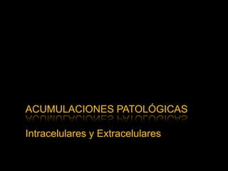 ACUMULACIONES PATOLÓGICAS
Intracelulares y Extracelulares
 