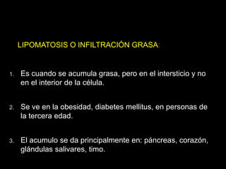 LIPOMATOSIS O INFILTRACIÓN GRASA:
1. Es cuando se acumula grasa, pero en el intersticio y no
en el interior de la célula.
2. Se ve en la obesidad, diabetes mellitus, en personas de
la tercera edad.
3. El acumulo se da principalmente en: páncreas, corazón,
glándulas salivares, timo.
 