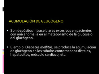 ACUMULACIÓN DE GLUCÓGENO
 Son depósitos intracelulares excesivos en pacientes
con una anomalía en el metabolismo de la glucosa o
del glucógeno.
 Ejemplo: Diabetes mellitus, se produce la acumulación
de glucógeno en los túbulos contorneados distales,
hepatocitos, músculo cardíaco, etc.
 