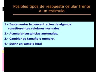 1.- Incrementar la concentración de algunos
constituyentes celulares normales.
2.- Acumular sustancias anormales.
3.- Cambiar su tamaño o número.
4.- Sufrir un cambio letal
Posibles tipos de respuesta celular frente
a un estímulo
 