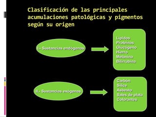 Clasificación de las principales
acumulaciones patológicas y pigmentos
según su origen
I.- Sustancias endógenas
II.- Sustancias exógenas
Lípidos
Proteínas
Glucógeno
Hierro
Melanina
Bilirrubina
Carbón
Sílice
Asbesto
Sales de plata
Colorantes
 