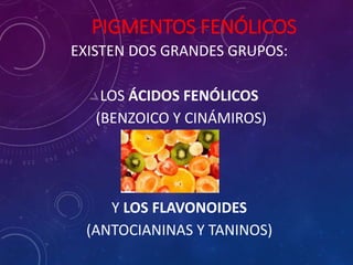 PIGMENTOS FENÓLICOS
EXISTEN DOS GRANDES GRUPOS:
LOS ÁCIDOS FENÓLICOS
(BENZOICO Y CINÁMIROS)
Y LOS FLAVONOIDES
(ANTOCIANINAS Y TANINOS)
 