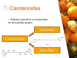 ▸ Podemos classificar os carotenoides
em dois grandes grupos:
Carotenoides
Carotenoides
Inativos
Pró-vitamínicos
Carotenos
Xantofilas
 