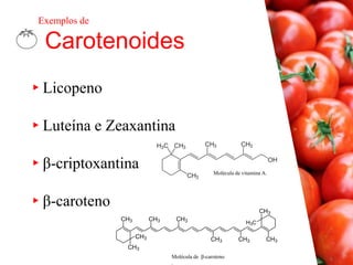 ▸Licopeno
▸Luteína e Zeaxantina
▸β-criptoxantina
▸β-caroteno
Carotenoides
Exemplos de
Molécula de vitamina A.
Molécula de β-caroteno
.
 