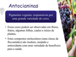 “Pigmentos vegetais, responsáveis por
uma grande variedade de cores.
Antocianinas
▸ Essas cores podem ser observadas em flores,
frutos, algumas folhas, caules e raízes de
plantas.
▸ Estes compostos moleculares (uma classe de
flavonóides) são inodoro, insípido e
antioxidante com uma variedade de benefícios
para a saúde.
 