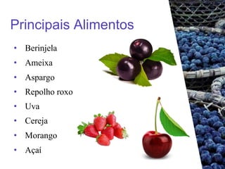 Principais Alimentos
• Berinjela
• Ameixa
• Aspargo
• Repolho roxo
• Uva
• Cereja
• Morango
• Açaí
 
