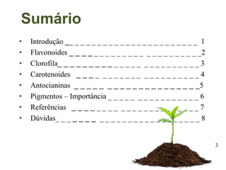 • Introdução __ _ _ _ _ _ _ _ _ _ _ _ _ _ _ _ _ _ _ _ _ _ _ 1
• Flavonoides _ _ _ _ _ _ _ _ _ _ _ _ _ _ _ _ _ _ _ _ _ _ _2
• Clorofila_ _ _ _ _ _ _ _ _ _ _ _ _ _ _ _ _ _ _ _ _ _ _ _ 3
• Carotenoides _ _ _ _ _ _ _ _ _ _ _ _ _ _ _ _ _ _ _ _ _ 4
• Antocianinas _ _ _ _ _ _ _ _ _ _ _ _ _ _ _ _ _ _ _ _5
• Pigmentos – Importância _ _ _ _ _ _ _ _ _ _ _ _ _ _ _ _ 6
• Referências _ _ _ _ _ _ _ _ _ _ _ _ _ _ _ _ _ _ _ _ _ _ 7
• Dúvidas_ _ _ _ _ _ _ _ _ _ _ _ _ _ _ _ _ _ _ _ _ _ _ _ _ 8
Sumário
3
 