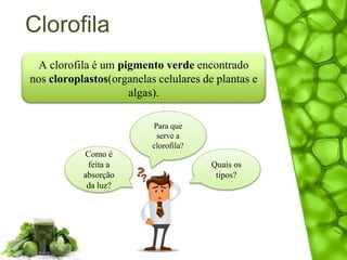 Clorofila
A clorofila é um pigmento verde encontrado
nos cloroplastos(organelas celulares de plantas e
algas).
Para que
serve a
clorofila?
Como é
feita a
absorção
da luz?
Quais os
tipos?
 