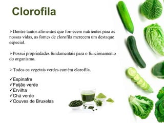 Clorofila
Dentre tantos alimentos que fornecem nutrientes para as
nossas vidas, as fontes de clorofila merecem um destaque
especial.
Possui propriedades fundamentais para o funcionamento
do organismo.
Todos os vegetais verdes contém clorofila.
Espinafre
Feijão verde
Ervilha
Chá verde
Couves de Bruxelas
 