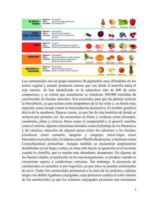 7
Los carotenoides son un grupo numeroso de pigmentos muy difundidos en los
reinos vegetal y animal, producen colores que van desde el amarillo hasta el
rojo intenso. Se han identificado en la naturaleza más de 600 de estos
compuestos, y se estima que anualmente se sintetizan 100,000 toneladas de
carotenoides de fuentes naturales. Son esenciales para que las plantas realicen
la fotosíntesis, ya que actúan como atrapadores de la luz solar y, en forma muy
especial, como escudo contra la fotooxidación destructiva. El nombre genérico
deriva de la zanahoria, Daucus carota, ya que fue de esta hortaliza de donde se
aislaron por primera vez. Se encuentran en frutas y verduras como jitomates,
zanahorias, piñas y cítricos; flores como el cempasúchil y el girasol; semillas
como el achiote; algunas estructuras animales como el plumaje de los flamencos
y de canarios; músculos de algunos peces como los salmones y las truchas;
crustáceos como camarón, langosta y cangrejo; micro-algas como
Haematococcus pluvialis; levaduras como Phaffia rhodozyma; y bacterias como
Corynebactrium poinsettiae. Aunque también se encuentran ampliamente
distribuidos en las hojas verdes, en éstas sólo hacen su aparición en el invierno
cuando la clorofila, que es mucho más abundante, desaparece. En algunas de
las fuentes citadas, en particular en los microorganismos, se produce cuando se
encuentran sujetos a condiciones extremas. Sin embargo, la presencia de
carotenoides en animales es por ingestión, ya que éstos no pueden sintetizarlos
de novo. Todos los carotenoides pertenecen a la clase de los polienos, cadenas
largas con dobles ligaduras conjugadas, cuya presencia explica el color intenso
de los carotenoides ya que los sistemas conjugados presentan una resonancia
 