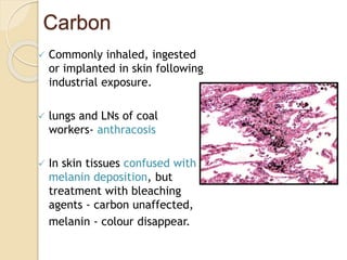 Pigments | PPTX