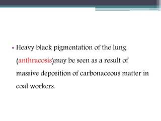 • Heavy black pigmentation of the lung
(anthracosis)may be seen as a result of
massive deposition of carbonaceous matter in
coal workers.
 