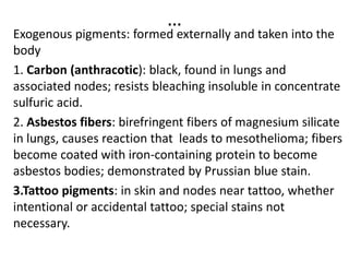 …
Exogenous pigments: formed externally and taken into the
body
1. Carbon (anthracotic): black, found in lungs and
associated nodes; resists bleaching insoluble in concentrate
sulfuric acid.
2. Asbestos fibers: birefringent fibers of magnesium silicate
in lungs, causes reaction that leads to mesothelioma; fibers
become coated with iron-containing protein to become
asbestos bodies; demonstrated by Prussian blue stain.
3.Tattoo pigments: in skin and nodes near tattoo, whether
intentional or accidental tattoo; special stains not
necessary.
 