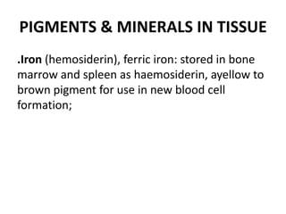 PIGMENTS & MINERALS IN TISSUE
.Iron (hemosiderin), ferric iron: stored in bone
marrow and spleen as haemosiderin, ayellow to
brown pigment for use in new blood cell
formation;
 