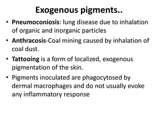 Exogenous pigments..
• Pneumoconiosis: lung disease due to inhalation
of organic and inorganic particles
• Anthracosis-Coal mining caused by inhalation of
coal dust.
• Tattooing is a form of localized, exogenous
pigmentation of the skin.
• Pigments inoculated are phagocytosed by
dermal macrophages and do not usually evoke
any inflammatory response
 