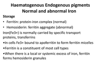 Haematogenous Endogenous pigments
Normal and abnormal Iron
Storage
• Ferritin: protein-iron complex (normal)
• Hemosiderin: ferritin aggregate (abnormal)
Iron(Fe3+) is normally carried by specific transport
proteins, transferrins
•In cells Fe3+ bound to apoferritin to form ferritin micelles
•Ferritin is a constituent of most cell types
•When there is a local or systemic excess of iron, ferritin
forms hemosiderin granules
 