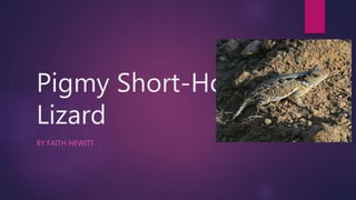 Pigmy Short-Horned
Lizard
BY FAITH HEWITT
 