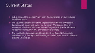 Current Status
 In B.C. the and the species Pygmy short-horned dragon are currently red
listed(Extirpated).
 The Squamata order is one of the largest orders with over 9,00 species.
Containing all lizards and snakes ex. European Wall Lizards (Only on
Vancouver Island) and Mountain Horned Dragon (Mainly Asia).(No record
for estimated amount in B.C., only areas on sightings.)
 The worldwide status extirpated located in Great Basin, N California to
Nevada through E Oregon and Washington and most of S and E Idaho and
extreme S Central BC
 
