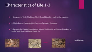 Characteristics of Life 1-3
 1-Composed of Cells: The Pigmy Short-Horned Lizard is a multi-celled organism.
 2-Obtain Energy: Heterotrophic, Carnivore, Secondary Consumer
 3-Reproduction: Sexual Reproduction, Internal Fertilization, Viviparous, Eggs kept in
mother until she gives birth to young live.
And Repeat!
 