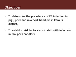 Erysipelothrix rhusiopathiae infection in pigs, pork and raw pork handlers in Kamuli District, Eastern Uganda