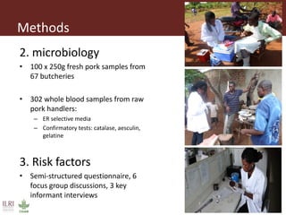 Erysipelothrix rhusiopathiae infection in pigs, pork and raw pork handlers in Kamuli District, Eastern Uganda