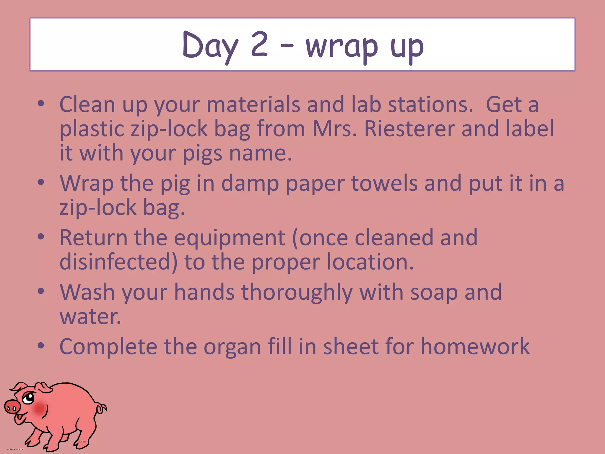 • Clean up your materials and lab stations. Get a
plastic zip-lock bag from Mrs. Riesterer and label
it with your pigs name.
• Wrap the pig in damp paper towels and put it in a
zip-lock bag.
• Return the equipment (once cleaned and
disinfected) to the proper location.
• Wash your hands thoroughly with soap and
water.
• Complete the organ fill in sheet for homework
Day 2 – wrap up
 