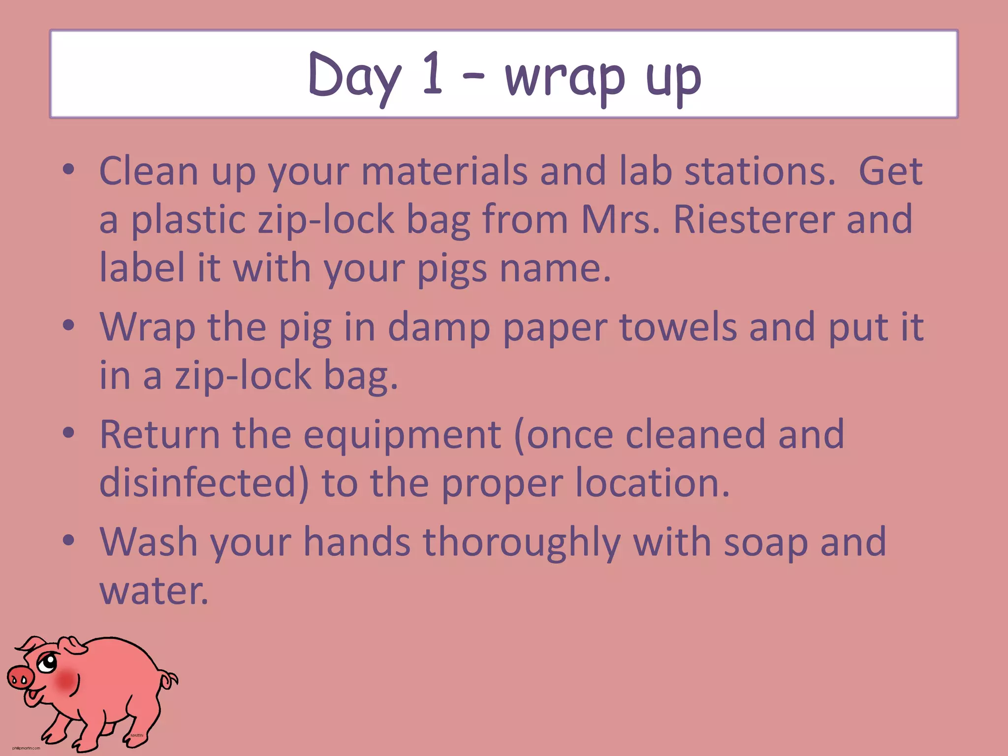 • Clean up your materials and lab stations. Get
a plastic zip-lock bag from Mrs. Riesterer and
label it with your pigs name.
• Wrap the pig in damp paper towels and put it
in a zip-lock bag.
• Return the equipment (once cleaned and
disinfected) to the proper location.
• Wash your hands thoroughly with soap and
water.
Day 1 – wrap up
 