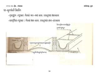 DVM, MSc Giut- ma:Ny plitkmμ RCUk 
X-sñÚkcMNI nigTwk 
-kUnRCUk ¼k,al³ kMBs; 10-15 sm/ beNþay 20sm 
-eBjv½y¼k,al ³ kMBs; 20 sm/ beNþay 30-40sm 
25 
 