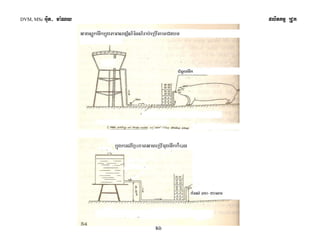 DVM, MSc Giut- ma:Ny plitkmμ RCUk 
26 
 