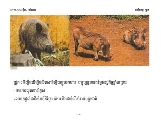 DVM, MSc Giut- ma:Ny plitkmμ RCUk 
RCUk ³ ciBa©wmedim,Iplitsac;eFVICamðÚbGahar bc©úb,nñmantémøesdækic©xøaMgeRBaH 
-mankarlUtlas;x<s; 
-lamkpþl;CaCIsMrab;dIERs cMkar nigCacMNIsMrab;mcäaCati 
3 
 