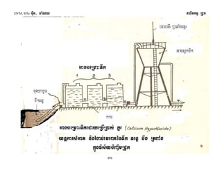 DVM, MSc Giut- ma:Ny plitkmμ RCUk 
31 
 