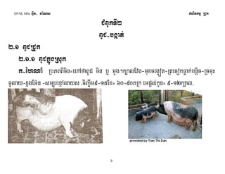 DVM, MSc Giut- ma:Ny plitkmμ RCUk 
CMBUkTI2 
BUC-bgáat; 
2>1 BUCRCUk 
2>1>1 BUCkñúgRsuk 
k-éhNaM RbPBBIcin=ehAfaBUC cin b¤ mYg.k,alEvg-muxceg¥ót-RtecokFøak;bnþic-RcmuH 
TUlay-xñgEG‘n -sm,úrexμAlays /ciBa©wm9-15Ex= 60-90KRk empþl;kUn= 9-12k,al/ 
6 
 