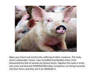  Lets look at two examples. It should read “Have you had your daily dose of chemicals, antibiotics and chlorine today?” Myths: Americans need large amounts of protein to grow healthy and strong, especially kids and athletes. Tyson is a honorable provider of protein from healthy meat sources. Facts: Americans get a dangerous high intake of protein. The average American is consuming 50% more protein than they need. Moreover, protein is found in a variety of fruits and vegetables which provide kids and athletes with an array of nutrients for growth. Tyson, as well as other American meat companies, provides consumers with meats that were raised, slaughtered and processed in the most diseased facilities possible to cut costs.