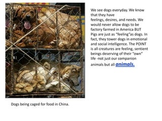 We can make a change together. We have to stand up and say LOUD and CLEAR that we want compassion. 