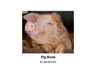 Pig Book
By: Ben Novotny
 